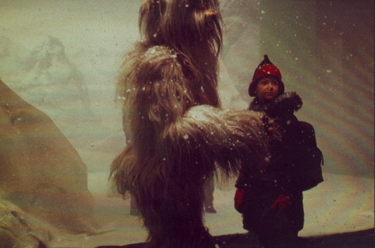 yeti